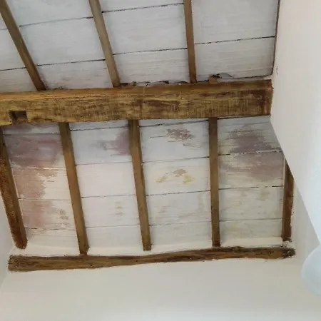 Oasi Tepilora 3* Bitti