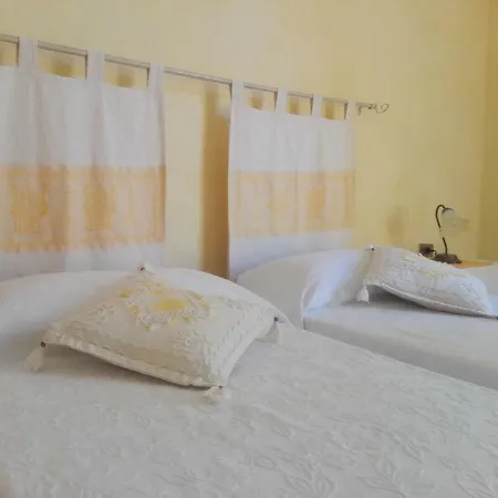Oasi Tepilora