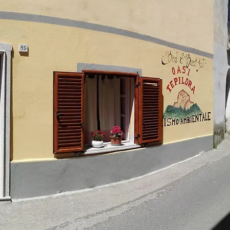 Couette-café Oasi Tepilora