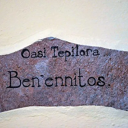 Oasi Tepilora Bitti