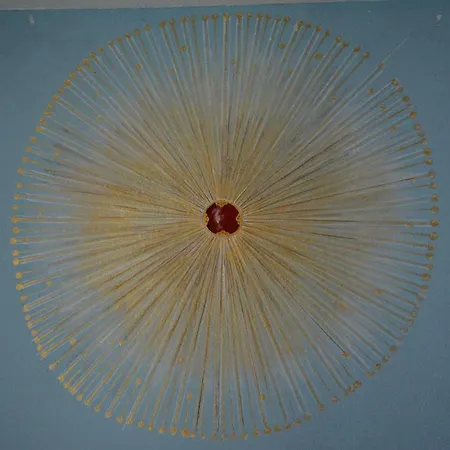 Oasi Tepilora Alojamento de Acomodação e Pequeno-almoço 3*