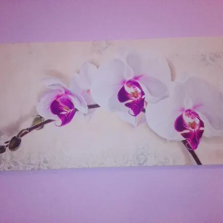 住宿加早餐酒店 Oasi Tepilora 3*