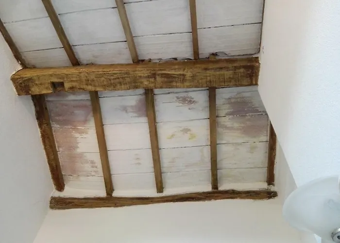 Oasi Tepilora 3* Bitti