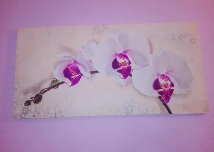 Bed & Breakfast Oasi Tepilora 3*